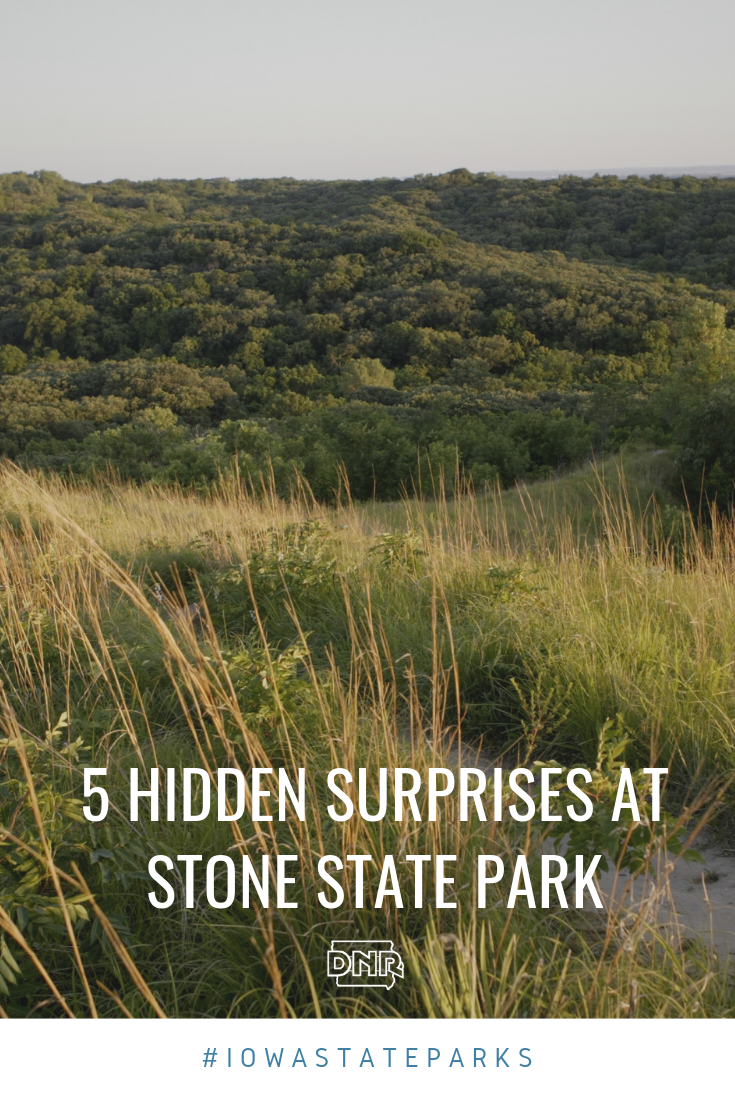Nestled in the northern portion of Iowa’s Loess Hills overlooking the South Dakota and Iowa border, Stone State Park is rich in local history, diverse plant life and rugged terrain.  |  Iowa DNR